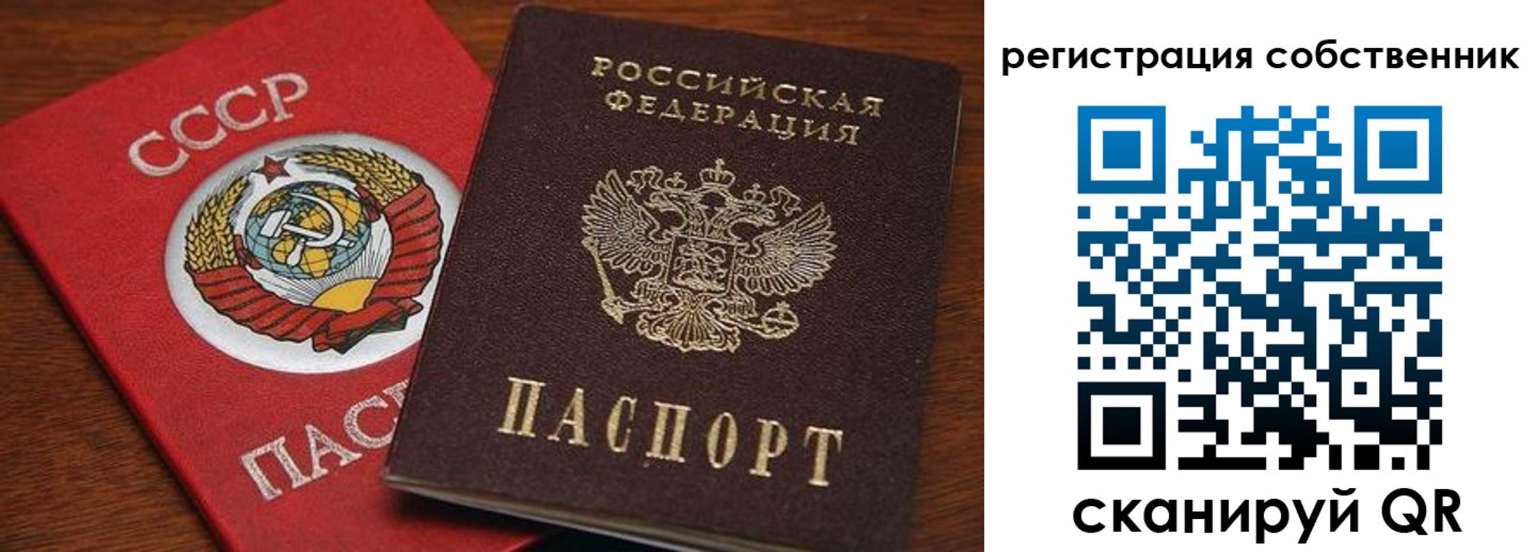 временная регистрация поиск в Коле