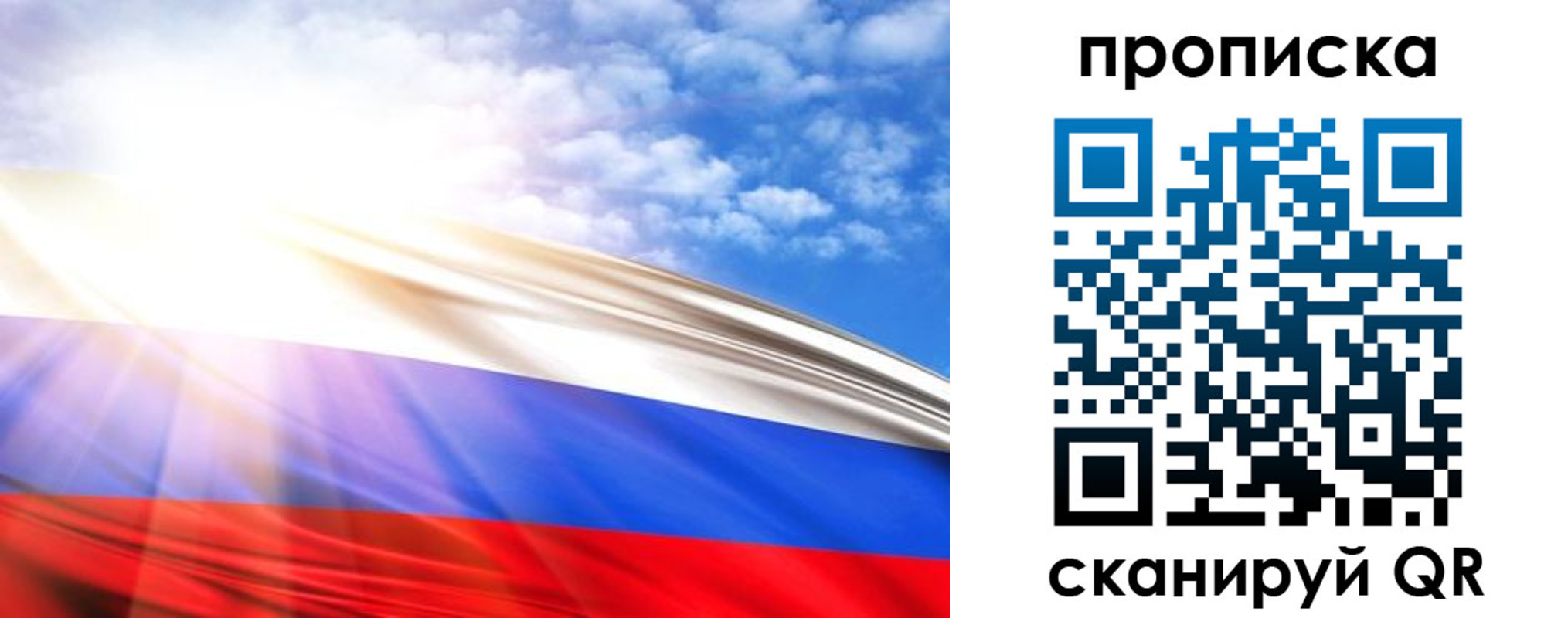 прописка в Коле